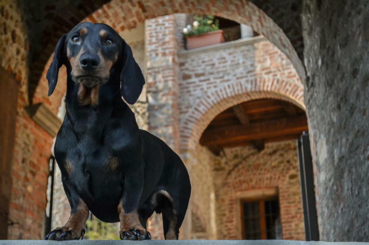 Castello Di Cernusco Lombardone Bed & Breakfast Exterior photo
