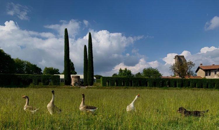 Castello Di Cernusco Lombardone Bed & Breakfast Exterior photo